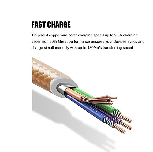 2 PowerLine+iBarbe+Reversible+Micro+USB+MicroUSB