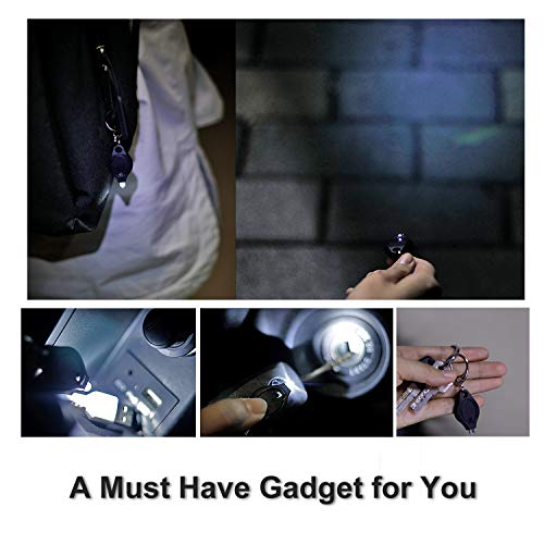 RISEMART Mini LED Keychain Flashlight, Bright Tiny Light, Pack of 10