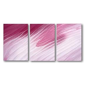 3 Panel Canvas Wall Art Abstract Color Pictures Home Wall Decorations for Bedroom Living Room Paintings Canvas Prints Framed - 16"x24" x 3 Panels