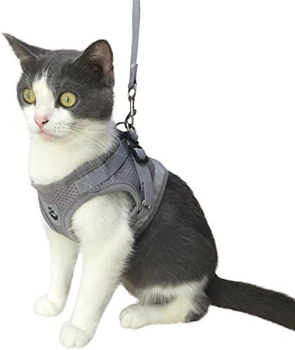 KZHAREEN Cat Harness with Leash for Kitty Puppy Small Dogs Animal Adjustable Soft Mesh