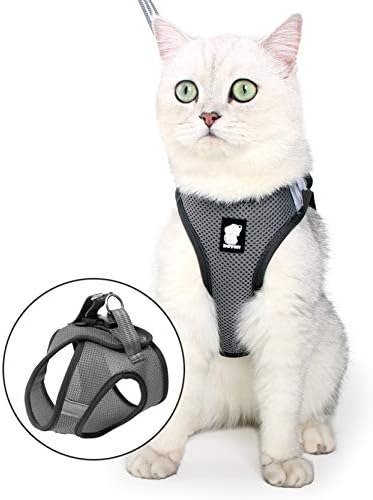 Glorisun Breathable Harness for Pet, Adjustable No Pull Harness for Dog & Cat, Dog Vest with 2 Leash Clips
