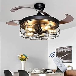 DLLT Ceiling Fan with Lights-42 Industrial Ceiling