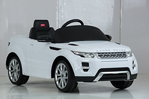 Rastar range rover