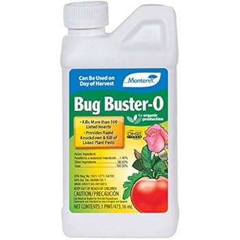 Watch Bug Buster Download Firefox