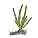 emours Cactus Plastic Plant Aquarium Ornament Fish Tank Desert Reptile Decoration