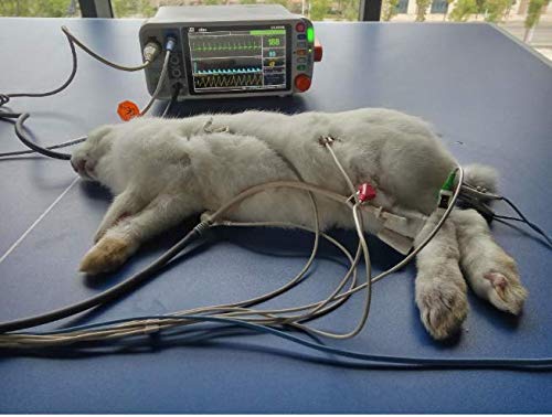 VS2000V Veterinary 7.1" Vital Signs Monitor with ECG, SPO2, NIBP,Temp, RESP, PR