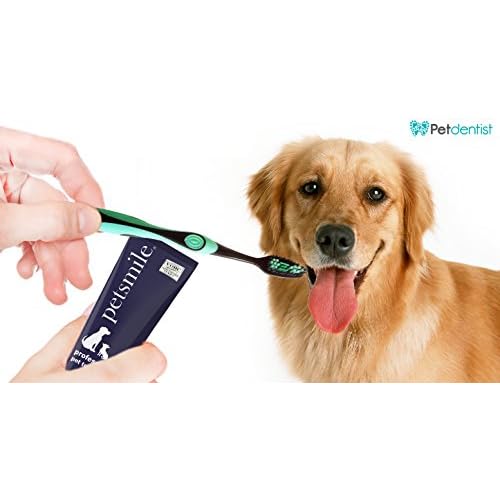 cover the hexagon dog toothbrush