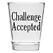 Challenge Accepted - Funny Shot Glass - Makes a Great Gift for Men and Women, Drinking Buddies Hilarious Shot Glass