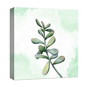 Canvas Wall Art for Living Room,Bedroom Home Artwork Paintings Succulent Ready to Hang - 12x12 inches