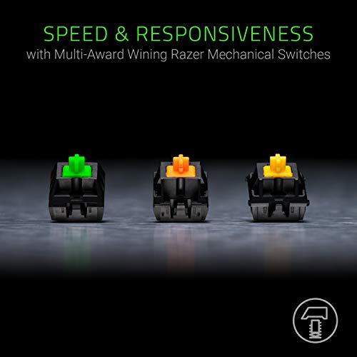 Razer BlackWidow TE Chroma v2 TKL Tenkeyless Mechanical Gaming Keyboard