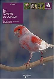 Les  canaris de couleurs