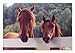 Melissa & Doug Horse Corral Jigsaw Puzzle (100 pcs)