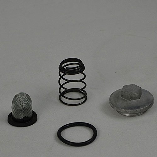 Kandi OEM Drain Bolt Kit for 150cc & 200cc GY6 Engines - Thumbnail 2
