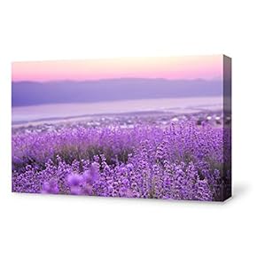 Canvas Wall Art for Living Room,Bedroom Home Artwork Paintings Romantic Lavender Ready to Hang - 12x18 inches