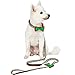 Blueberry Pet 4 Patterns Christmas Santa Claus's Reindeer Adjustable Dog Collar with Detachable Bow Tie, Large, Neck 18