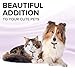 Bemix Pets Cat Collar Bells, 24-Pack, Dog Collar Bells, Loud Or Soft, Pet Bells for Potty Training, Colors (Red, Blue, Orange, Green, Pink, Purple) Matching Collars