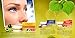 Vaadi Herbals Fairness Cream With Saffron, Aloe Vera And Turmeric Extracts Improves Skin Complexion All Formula Completely Therapeutic Cream Made With Orange And Lemon Peel Suitable For All Skin
