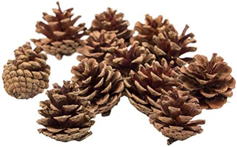 The Royal Standard Harvest Brown Pinecone 1.5 inch Faux Wood Decorative Tabletop Vase Filler