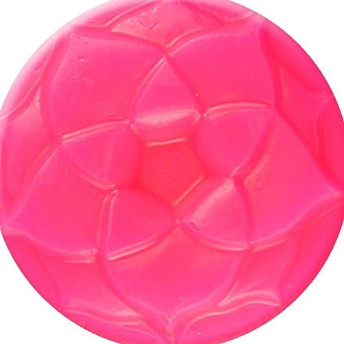 Neon Mica Powder - Soap &amp; Cosmetic Colorants - 2 oz Jar - Bright Neon Colors for Soap Making &amp; Cosmetics (Hot Pink Pants)