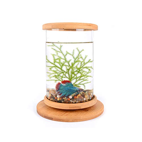 AZXAZ LED Desktop Aquarium Rotatable Mini Transparent Fish Tank Micro-Cylinder Aquarium with Wood Base Desktop Decor 14.5x18cm