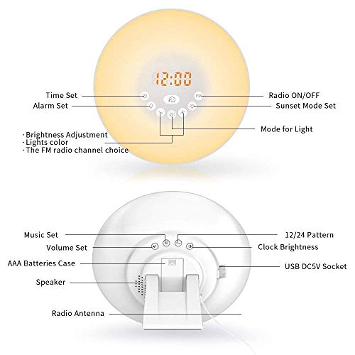 Sunba Youth Wake Up Light, Sunrise Alarm Clock Radio with 7 Color Night Light, 6 Nature Sounds, and FM Radio for Bedside Lamp