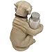 Labrador Retriever Salt and Pepper Shaker Set with Decorative Display Stand Dog Figurine Holder for Lodge & Hunting Cabin Kitchen Decor Table Centerpieces As Puppy Gifts for Hunters