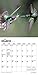 Hummingbirds 2020 7 x 7 Inch Monthly Mini Wall Calendar, Animals Wildlife Birds