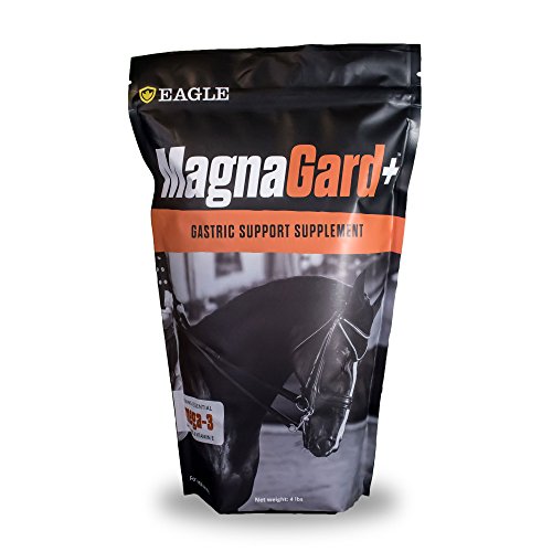 MagnaGard PLUS Gastric Support Supplement for Horses with Omega 3s, 4 lbs - Promotes Digestive Health, Provides Vital Minerals