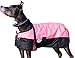 Derby Originals Horse Tough 600D Ripstop Waterproof Winter Dog Coat 150g Medium Weight