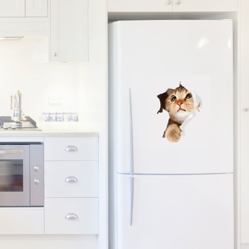 Wall Sticker Cat in The Hole 45 x 40 cm