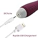 SVAKOM Vibrators G-Spot Vagina and Clitoris Touch Activated Sex Toys for Woman, Lisa/Wine Red, 15.8 Ounce
