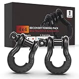 FieryRed 3/4" D Ring Shackle (2 Pack) 22,046Ibs Break Strength with 7/8" Locking Pin and Black Isolator & Washer Kits for use With Tow Strap, Winch & Bubba Rope, 1 Year Warranty