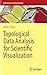 Topological Data Analysis for Scientific Visualization (Mathematics and Visualization)
