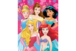 The Northwest Store Disney Princess Silk Throw Soft Blanket 40''x50'' Cinderella, Belle, Jasmine, Aurora and Ariel, Multicolor