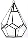 NCYP Hanging Glass Geometric Terrarium for Succulent - 6.8