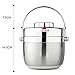Fatmingo Stainless Steel Thermal Food Container,Insulated Lunch Box 2 Tier with Hand Bag (1.5L Silver)