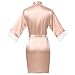Find Dress Women's Silky Robe Bridesmaid Robes Lace Robe for Bridal(FBA Free Return)