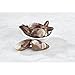 Belgian Chocolate Seashells, 2.3 oz. (6 Piece Box)