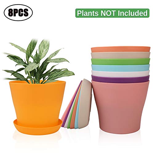 Ufrount 6.5 Inches Plastic Plant Pots with Drainage Holes, Gardening