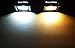 Lighting EVER LED Flood Light 20 Watt IP65 Waterproof Security Fixtures, 5000K Daylight White, Indoor and Outdoor Landscape Floodlight for Yard Garden, Playground, Party(Black, No Plug)