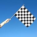 Black and White Checkered 12x18in Stick Flag