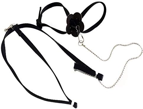 vitihipsy Parrot Adjustable Bird Harness and Leash Outdoor Flying Anti-bite Grey Cockatoo Macaw