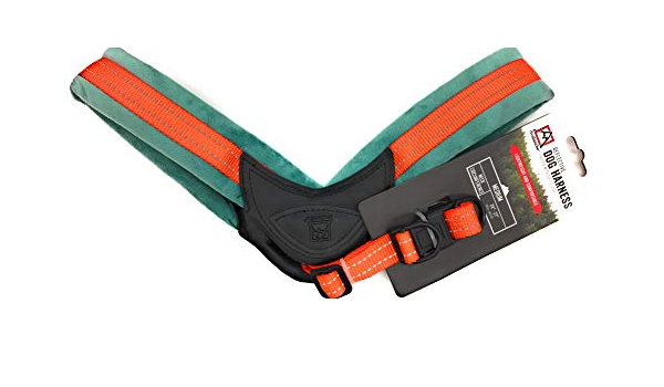 avalanche reflective dog collar