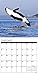 Orcas 2017 Wall Calendar