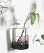 Set of 2 Wall Mounted Clear Glass Terrariums Hanging Flower Vase Square Tube Air Plant Jar