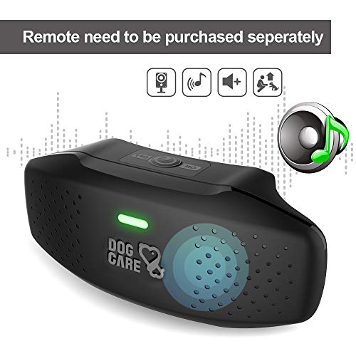 Dog Training Collar Receiver – Enhanced Rechargeable Shock Collar Receiver, Waterproof Training Collar with Adjustable Collar Dog (10lbs-100lbs) (Remote Need to be Purchased Seperately)