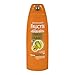 Garnier Hair Care Fructis Damage Eraser Shampoo, 13 Fluid Ounce