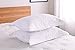 MarCielo 2-Piece Embroidered Pillow Shams, King Decorative Microfiber Pillow Covers Set, King Size (White)