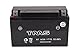 TMS AGM ATV Battery Yt7b-bs Yt7b-4 for Suzuki Drz400 E/s/sm 00-09 Yamaha Yfz450 04-09 450x Ds450 TTR 250 225 Zuma Yw 125 Triumph Daytona 675 2006-2011