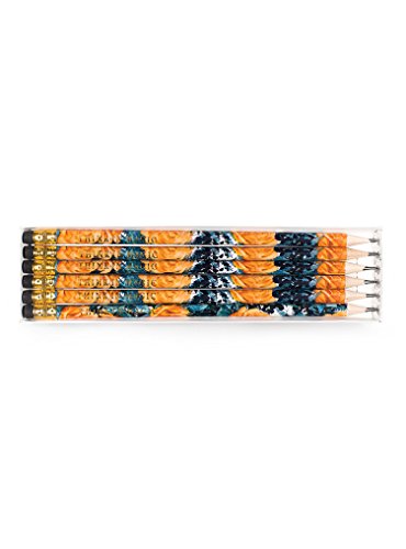 Papaya Women's Art Drawing 6 Count Graphite Pencils (Natural Rose)